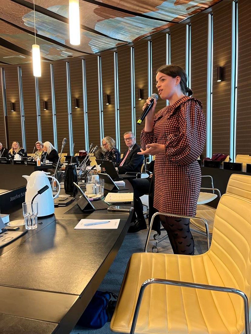 Josefine Schlosser i regionsrådssalen