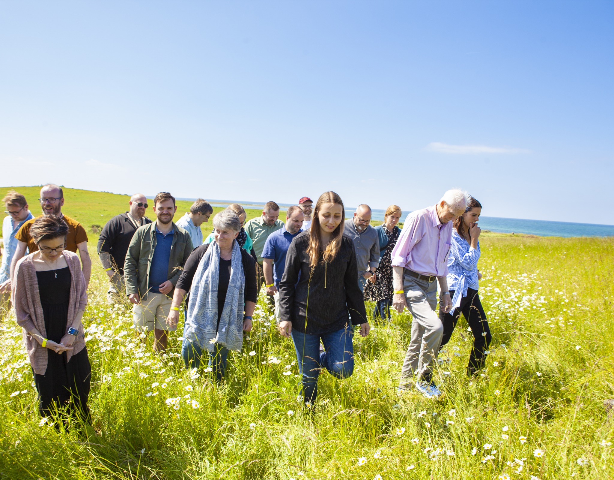 Medlemmerne af Europa Samling i grøn mark